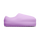 The Slips