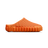 RIB - zellerfeld