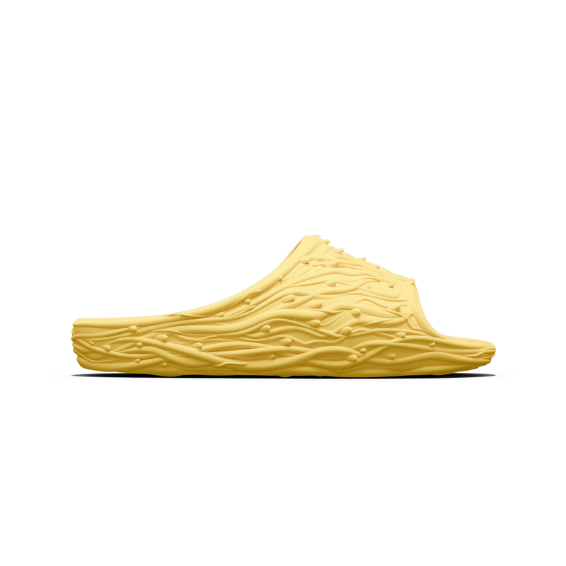 Bramble Slide